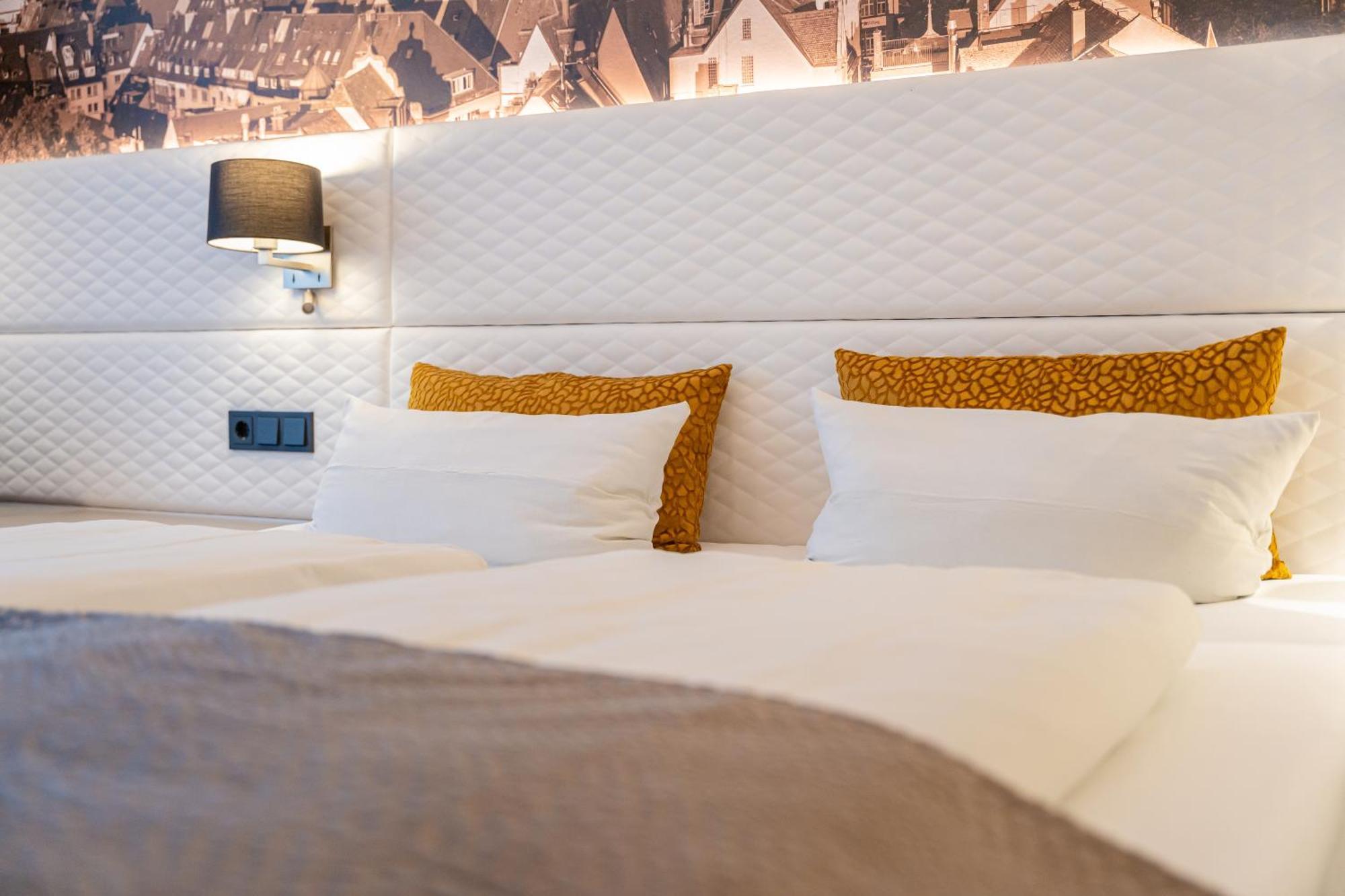 Boutiquehotel Am Stadtgarten フライブルク エクステリア 写真